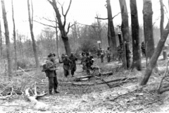 1945-04 Holland Haalderen area 1st 7th DWR John Lappin & D Coy Rounding up Dutch SS Prisoners