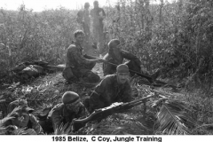 1985 Belize  C Coy NP08-10